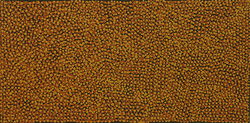 Wataki (Bush Orange) by Polly Natangardi Watson