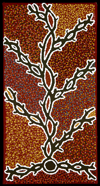 Ngapa by Rachel Napaltjarri