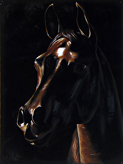 Shadows by Lara Holmes