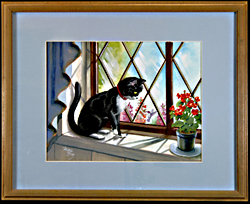 Maine Coon Cat by John Fay