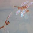 Watercolor artists