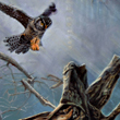 Visit John Fay Gallery