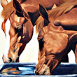 Visit Lara Holmes Gallery