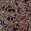 Visit Selina Napaltjarri